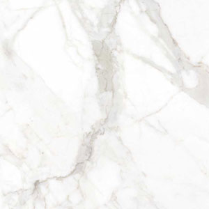 , porcelanatos grupo canarias