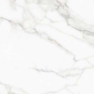 Inicio 113 , calacatacara011